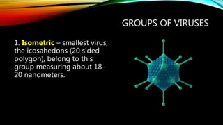 Cell and microorganisms