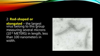 Cell and microorganisms