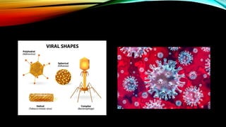 Cell and microorganisms