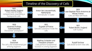 Cell and microorganisms