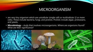 Cell and microorganisms