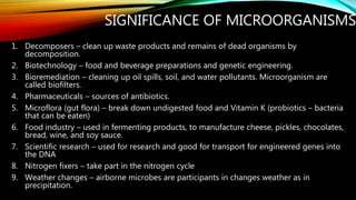 Cell and microorganisms