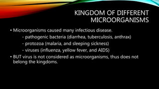 Cell and microorganisms