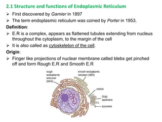 Cell and Molecular Biology (AKNU University).pdf