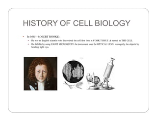 cell and molecular biology final.pdf