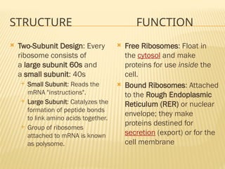 Comprehensive Overview of Cell Theory and Cellular Structure | PPTX