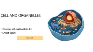 CELL AND ORGANELLES
• Conceptual explanation by
• Smart Brains
Lecture 1
 