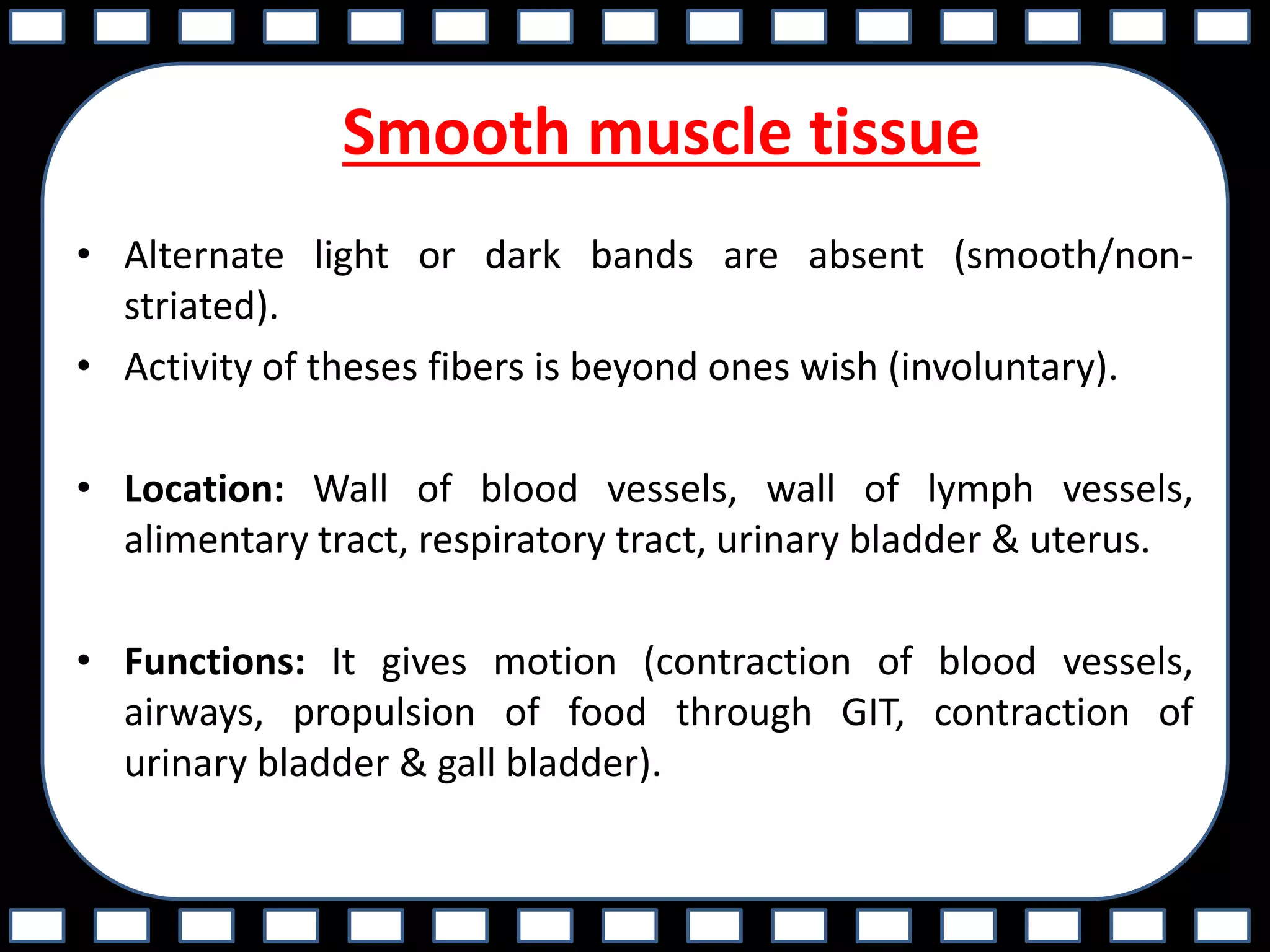 Smooth muscle tissue
• Alternate light or dark bands are absent (smooth/non-
striated).
• Activity of theses fibers is beyond ones wish (involuntary).
• Location: Wall of blood vessels, wall of lymph vessels,
alimentary tract, respiratory tract, urinary bladder & uterus.
• Functions: It gives motion (contraction of blood vessels,
airways, propulsion of food through GIT, contraction of
urinary bladder & gall bladder).
 