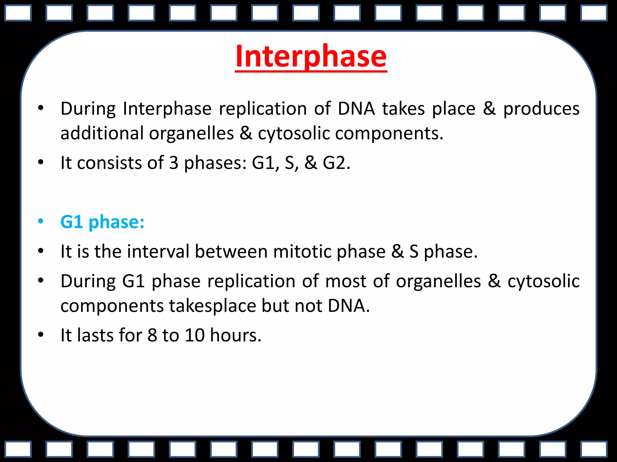 Interphase
• During Interphase replication of DNA takes place & produces
additional organelles & cytosolic components.
• It consists of 3 phases: G1, S, & G2.
• G1 phase:
• It is the interval between mitotic phase & S phase.
• During G1 phase replication of most of organelles & cytosolic
components takesplace but not DNA.
• It lasts for 8 to 10 hours.
 