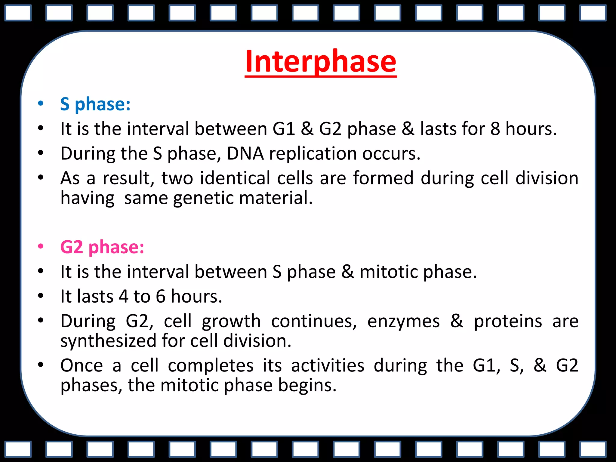 Interphase
• S phase:
• It is the interval between G1 & G2 phase & lasts for 8 hours.
• During the S phase, DNA replication occurs.
• As a result, two identical cells are formed during cell division
having same genetic material.
• G2 phase:
• It is the interval between S phase & mitotic phase.
• It lasts 4 to 6 hours.
• During G2, cell growth continues, enzymes & proteins are
synthesized for cell division.
• Once a cell completes its activities during the G1, S, & G2
phases, the mitotic phase begins.
 