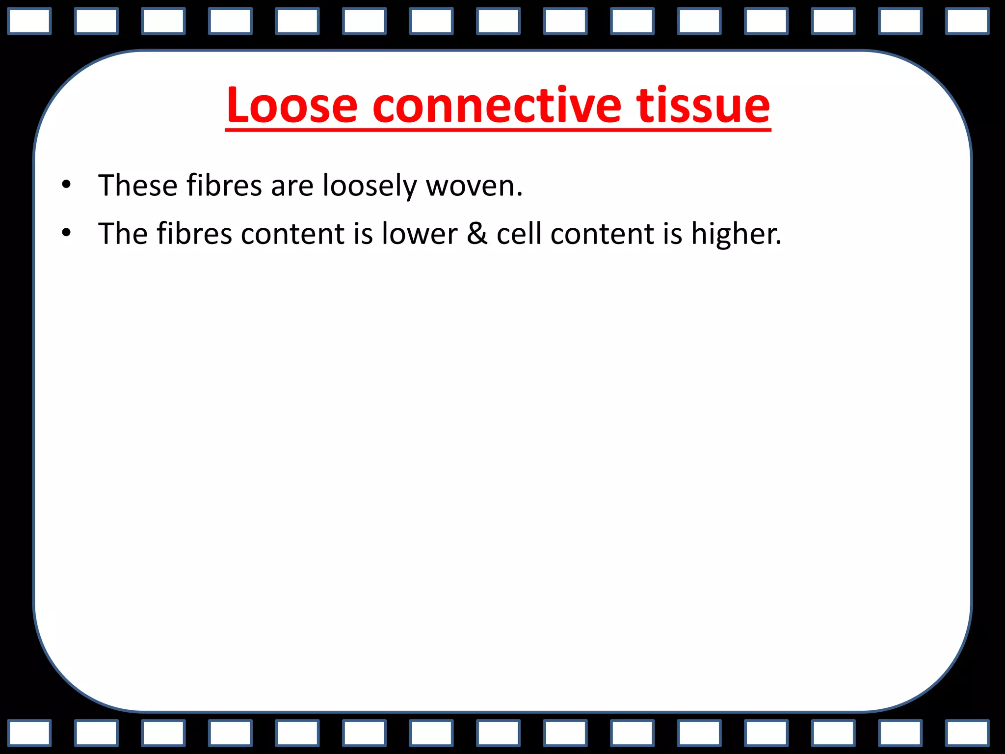 Loose connective tissue
• These fibres are loosely woven.
• The fibres content is lower & cell content is higher.
 