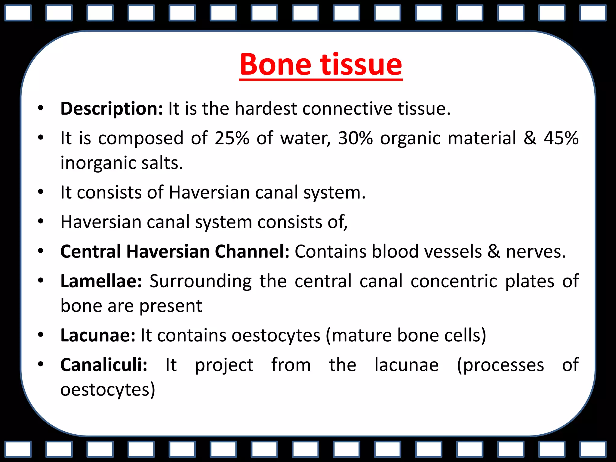 Bone tissue
• Description: It is the hardest connective tissue.
• It is composed of 25% of water, 30% organic material & 45%
inorganic salts.
• It consists of Haversian canal system.
• Haversian canal system consists of,
• Central Haversian Channel: Contains blood vessels & nerves.
• Lamellae: Surrounding the central canal concentric plates of
bone are present
• Lacunae: It contains oestocytes (mature bone cells)
• Canaliculi: It project from the lacunae (processes of
oestocytes)
 