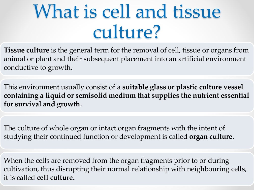 Cell and tissue culture