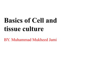 Basics of Cell and
tissue culture
BY. Muhammad Mukheed Jami
 