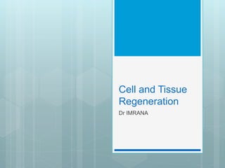 Cell and Tissue
Regeneration
Dr IMRANA
 