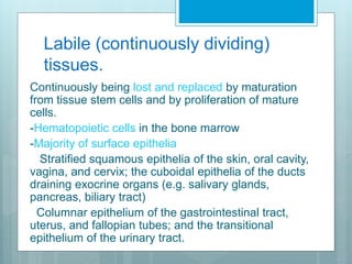 Cell and tissue regeneration | PPT