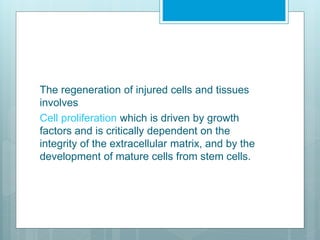 Cell and tissue regeneration | PPTX