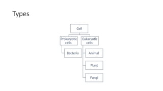 CELL AND TISSUE STRUCTURE AND ORGANIZATION | PPTX