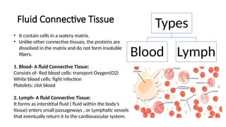 Fiuld Tissues CELL AND TISSUE STRUCTURE AND ORGANIZATION | PPTX