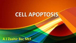 CELL APOPTOSIS
A J Zaahir Bsc MLT
 