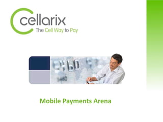 Mobile Payments Arena
 