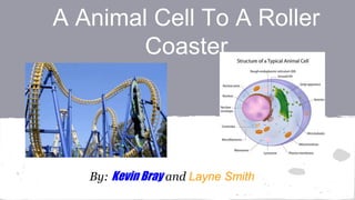 A Animal Cell To A Roller 
Coaster 
By: Kevin Bray and Layne Smith 
 