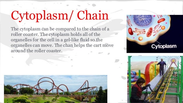 Cell as a roller coaster