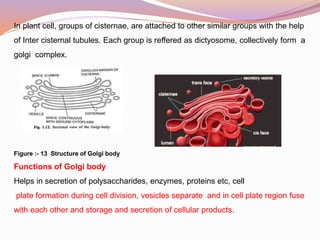 Cell as basic unit of life ppt 88 slides | PPTX