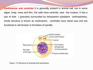 Astral Rays Cell as basic unit of life ppt 88 slides | PPTX
