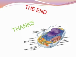 Cell as basic unit of life ppt 88 slides | PPTX