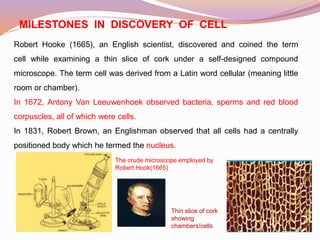 Cell as basic unit of life ppt 88 slides