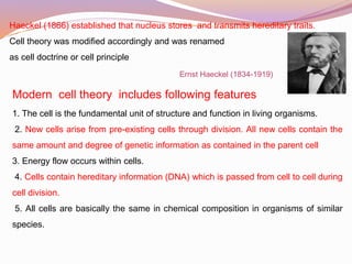 Cell as basic unit of life ppt 88 slides