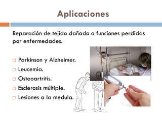 Aplicaciones
Reparación de tejido dañado o funciones perdidas
por enfermedades.






Parkinson y Alzheimer.
Leucemia.
Osteoartritis.
Esclerosis múltiple.
Lesiones a la medula.

 