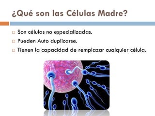 ¿Qué son las Células Madre?




Son células no especializadas.
Pueden Auto duplicarse.
Tienen la capacidad de remplazar cualquier célula.

 