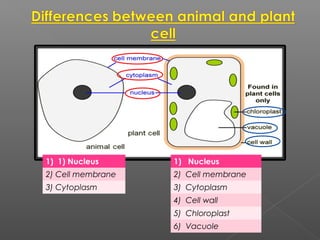 1) 1) Nucleus
2) Cell membrane
3) Cytoplasm
1) Nucleus
2) Cell membrane
3) Cytoplasm
4) Cell wall
5) Chloroplast
6) Vacuole
 