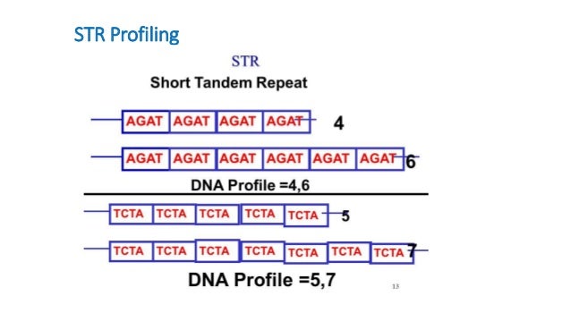 Cell Authentication By STR Profiling