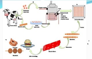 CELL-BASED MEAT (update on Lab-Grown Meat).pptx