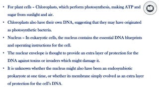 • For plant cells – Chloroplasts, which perform photosynthesis, making ATP and
sugar from sunlight and air.
• Chloroplasts also have their own DNA, suggesting that they may have originated
as photosynthetic bacteria.
• Nucleus – In eukaryotic cells, the nucleus contains the essential DNA blueprints
and operating instructions for the cell.
• The nuclear envelope is thought to provide an extra layer of protection for the
DNA against toxins or invaders which might damage it.
• It is unknown whether the nucleus might also have been an endosymbiotic
prokaryote at one time, or whether its membrane simply evolved as an extra layer
of protection for the cell’s DNA.
 