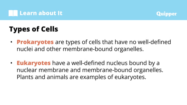 CELL BASIC STRUCTURAL AND FUNCTIONAL UNIT OF LIFE visual data 8