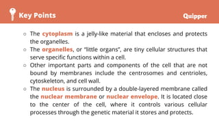 Cell Basic Structural and Functional Unit of Life.pptx