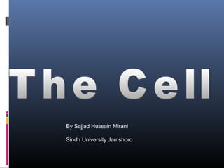 By Sajjad Hussain Mirani
Sindh University Jamshoro
 