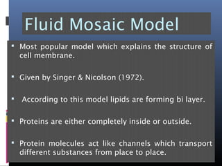 Fluid Mosaic Model
 Most popular model which explains the structure of
cell membrane.
 Given by Singer & Nicolson (1972).
 According to this model lipids are forming bi layer.
 Proteins are either completely inside or outside.
 Protein molecules act like channels which transport
different substances from place to place.
 