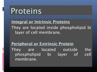 Proteins
Integral or Intrinsic Proteins
They are located inside phospholipid bi
layer of cell membrane.
Peripheral or Extrinsic Protein
They are located outside the
phospholipid bi layer of cell
membrane.
 