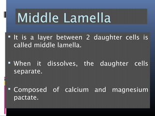 Middle Lamella
 It is a layer between 2 daughter cells is
called middle lamella.
 When it dissolves, the daughter cells
separate.
 Composed of calcium and magnesium
pactate.
 