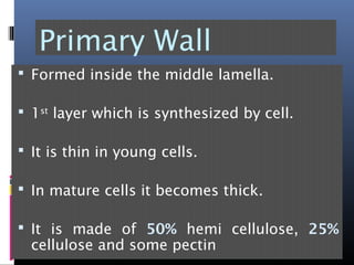 Primary Wall
 Formed inside the middle lamella.
 1st
layer which is synthesized by cell.
 It is thin in young cells.
 In mature cells it becomes thick.
 It is made of 50% hemi cellulose, 25%
cellulose and some pectin
 