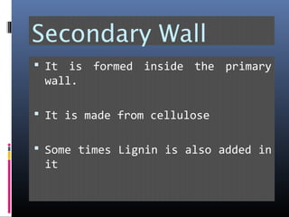 Secondary Wall
 It is formed inside the primary
wall.
 It is made from cellulose
 Some times Lignin is also added in
it
 