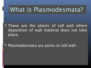What is Plasmodesmata?
 These are the places of cell wall where
deposition of wall material does not take
place.
 Plasmodesmata are pores in cell wall.
 