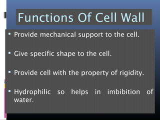 Functions Of Cell Wall
 Provide mechanical support to the cell.
 Give specific shape to the cell.
 Provide cell with the property of rigidity.
 Hydrophilic so helps in imbibition of
water.
 