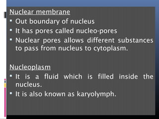 Nuclear membrane
 Out boundary of nucleus
 It has pores called nucleo-pores
 Nuclear pores allows different substances
to pass from nucleus to cytoplasm.
Nucleoplasm
 It is a fluid which is filled inside the
nucleus.
 It is also known as karyolymph.
 
