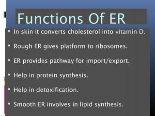 Functions Of ER
 In skin it converts cholesterol into vitamin D.
 Rough ER gives platform to ribosomes.
 ER provides pathway for import/export.
 Help in protein synthesis.
 Help in detoxification.
 Smooth ER involves in lipid synthesis.
 